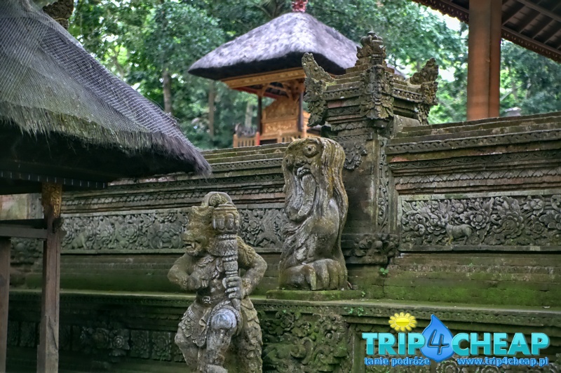 Świątynia w Monkey Forest