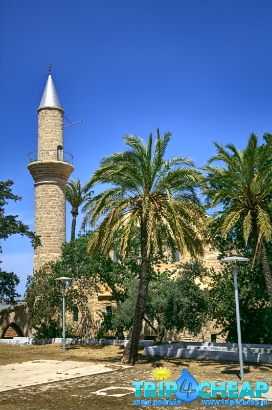 Hala Sultan Tekke w Larnace-Cypr