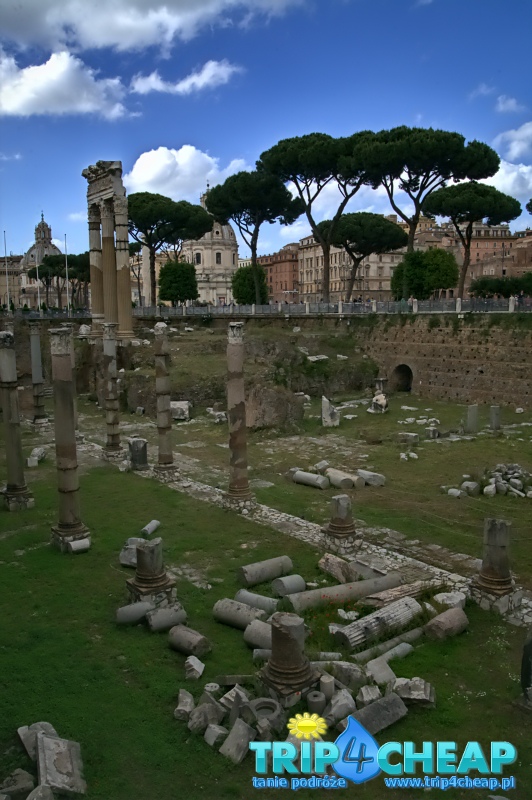 Ruiny w Forum Romanum-Rzym
